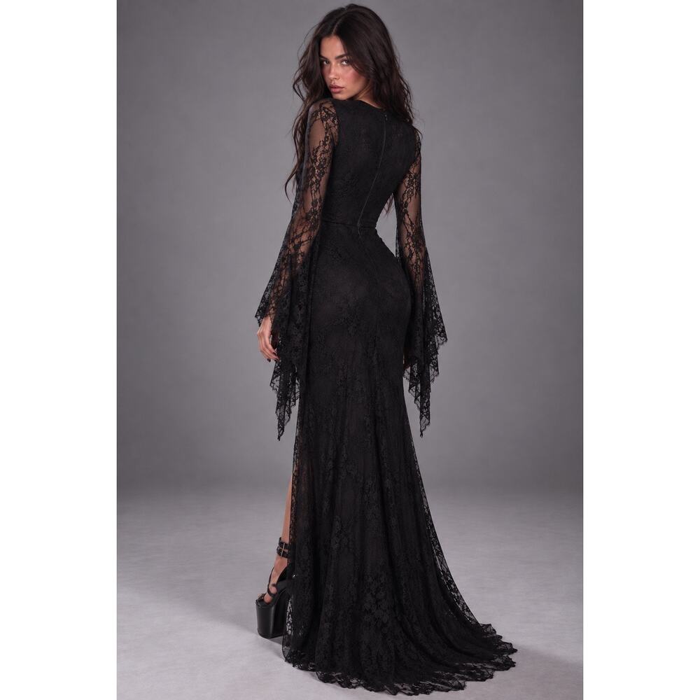 NWT Dolls Kill Trickz N Treatz Morticia Morbid Matriarch Lace 
Dress L MSRP $79 - Picture 2 of 8
